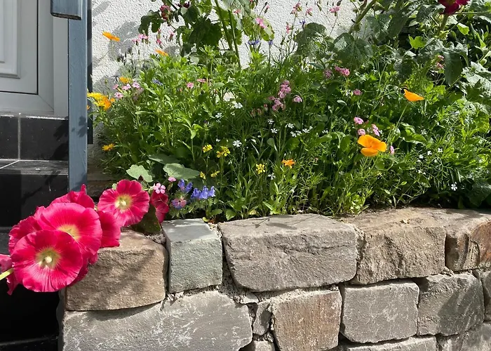 Appartement Molehill Shire *