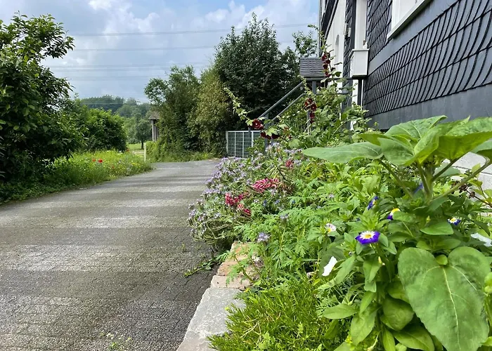 Molehill Shire Huckeswagen